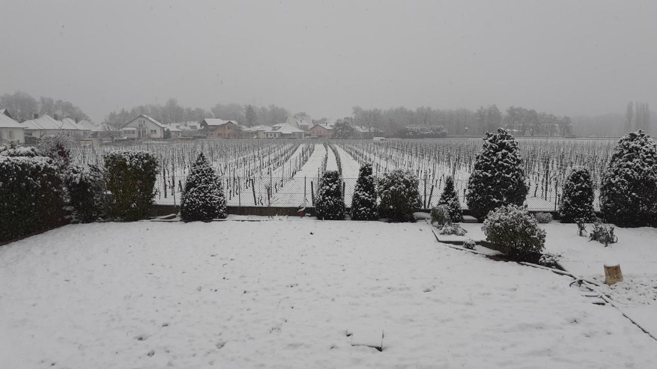 Bed and Breakfast Aux Pieds Des Vignes Ingersheim Esterno foto